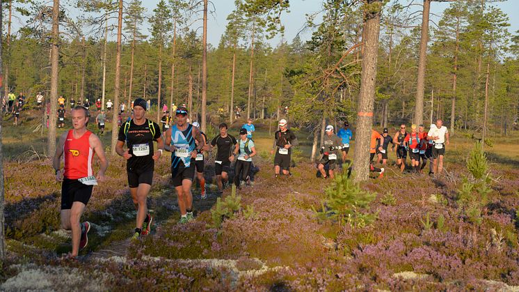 Ultravasan 2015. Sveriges största ultralopp. Från Sälen till Mora, 90 km.