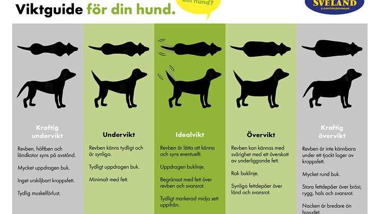 Svelands hundviktsguide