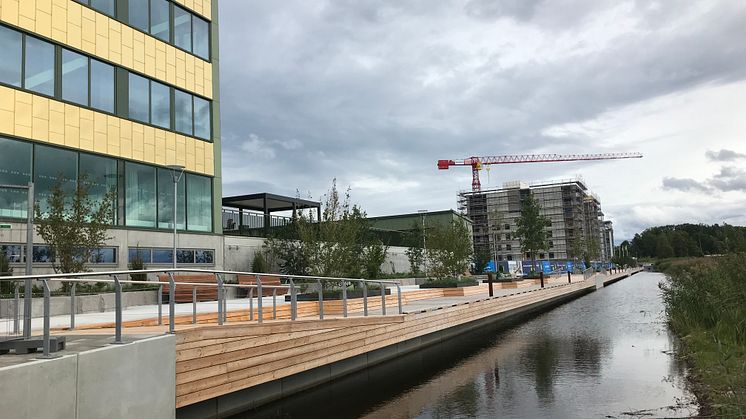 Kajpromenaden längs Tullholmsviken