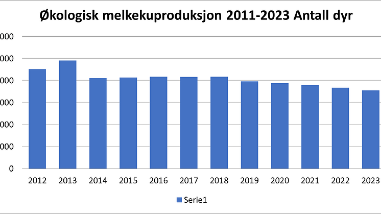 økologisk melkeku