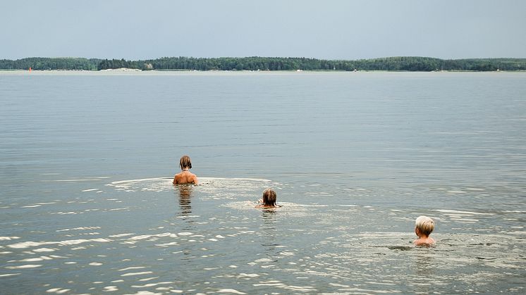 Foto: Bodil Forsberg