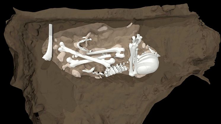 Artist’s reconstruction of the burial of an adult Homo naledi found in the Dinaledi Chamber (credit Berger et al., 2023)