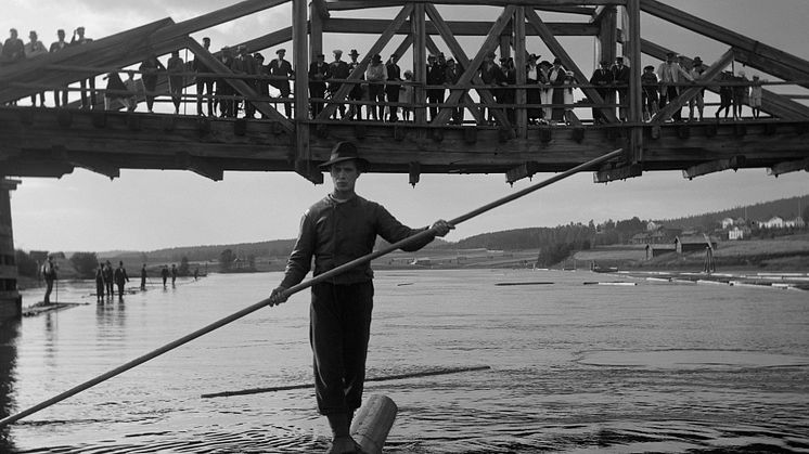 Sången om den eldröda blomman, Lars Hansson