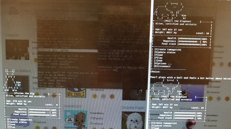 Uppdrag från NSA Hack 2018
