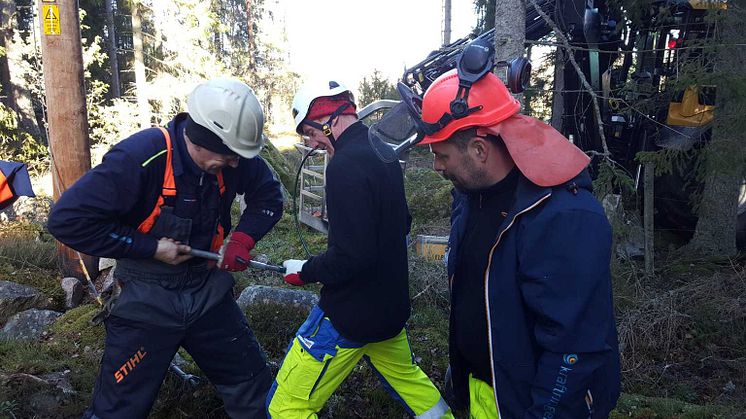 De förbereder elnätet inför höststormarna