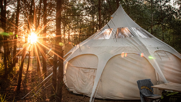  Eine ganz besondere Glamping-Auszeit kann man im Lausitzer Seenland erleben am Gräbendorfer See. Foto: Gesellschaft für Premiumcamping mbH. 