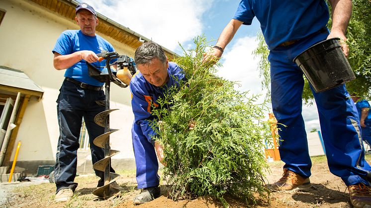 Proiect 1 - Volunteers work