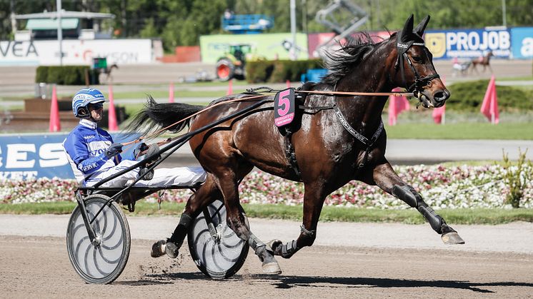 Hickothepooh tar plats i Åbergs. Foto: Lena Emmoth/TR Bild.