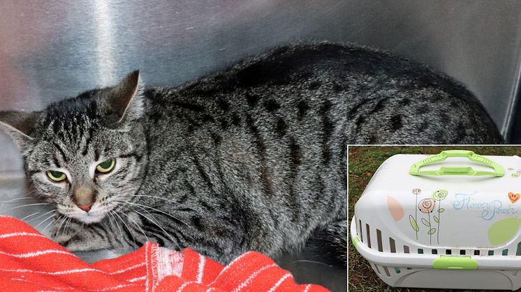 Foto: Veterinäramt Landkreis Barnim
