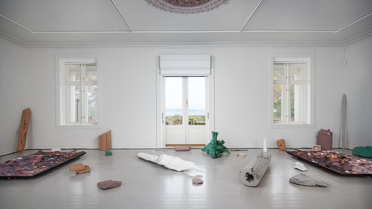 Symbiotic Stories_Jakob Oredsson_Galleri F15_05