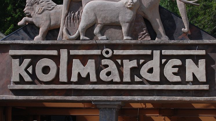 Kolmården storsatsar till sitt 50-årsjubileum