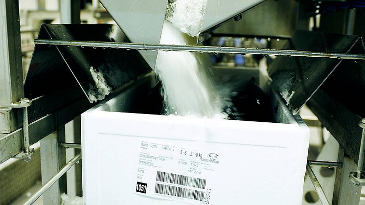 Export lax, Norge