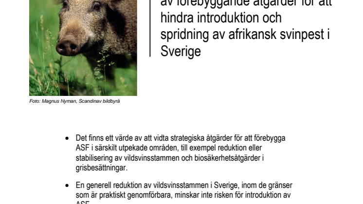 Rapport − Uppdrag att bedöma behovet av förebyggande åtgärder för att hindra introduktion och spridning av afrikansk svinpest i Sverige