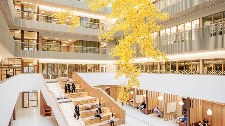 Natrium, Göteborgs universitet, LINK Arkitektur