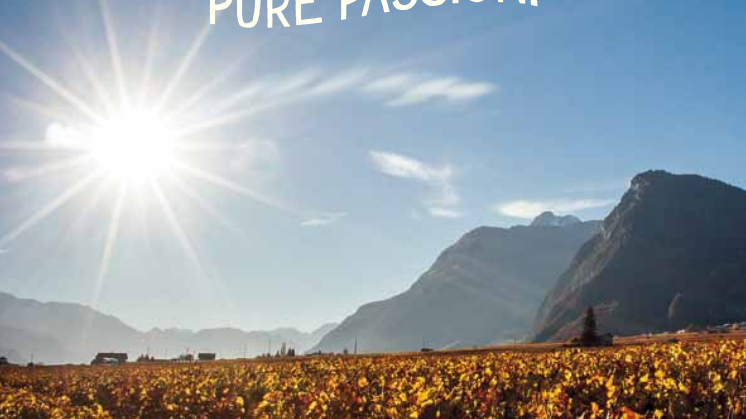 Walliser Weine: Pure Passion.