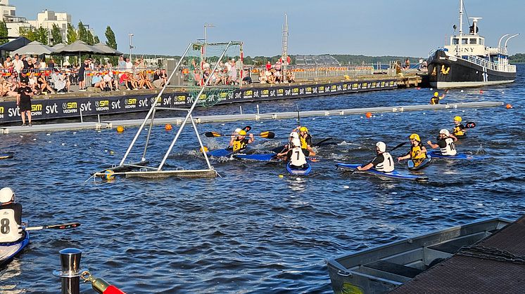 Foto Ingela Lindestad.jpg