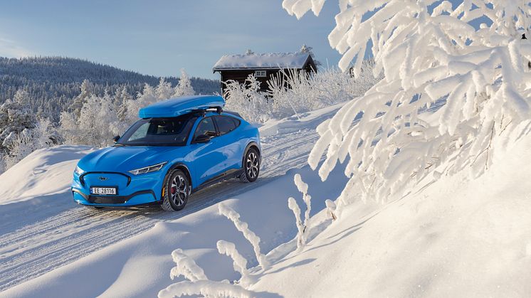Ford Mustang Mach-E Vinter 2022