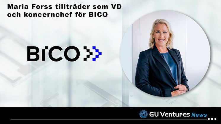 Bico