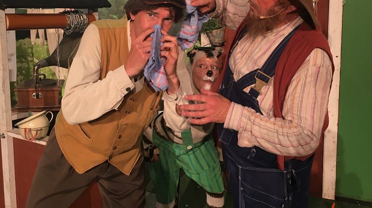 Pettson och Findus