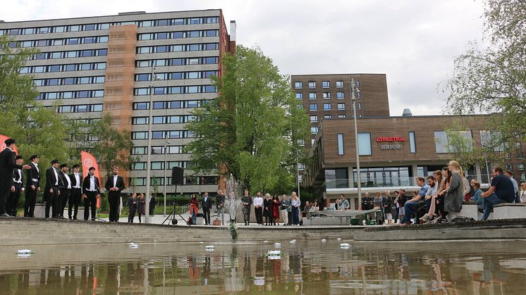 åpning Kringsjå uteområder