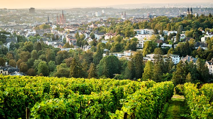Blick_über_Wiesbaden_vom_Neroberg.jpg