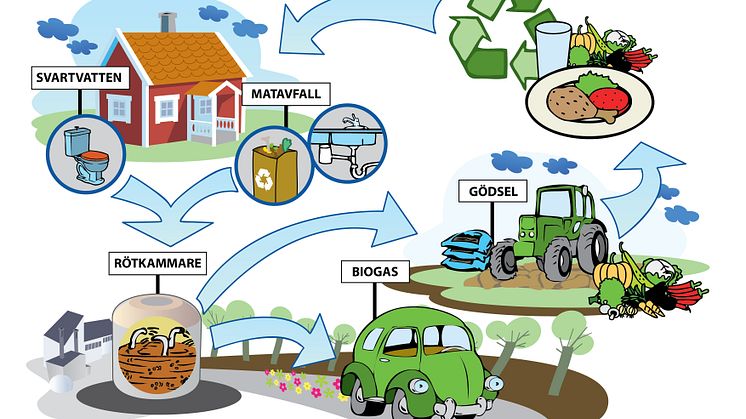 Svartvatten och matavfall återanvänds som biogas och växtnäring i ett kretslopp