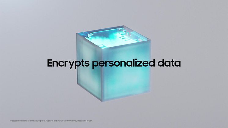 Paradigm_Privacy_PDE.mp4