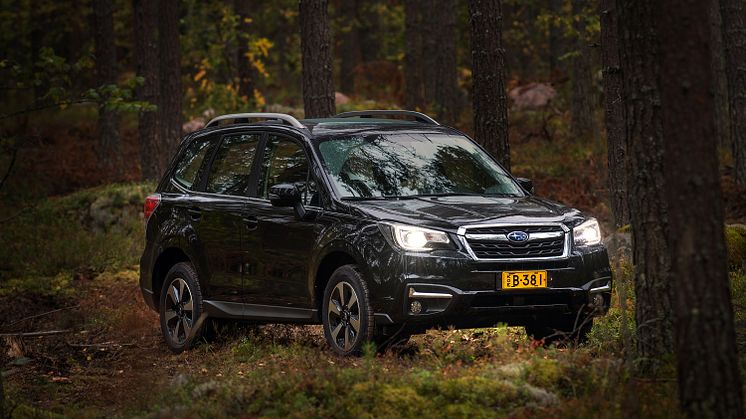 forester_eyesight_2