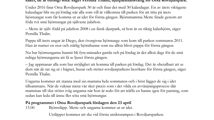 På lördag är det dags för årets björnsläpp