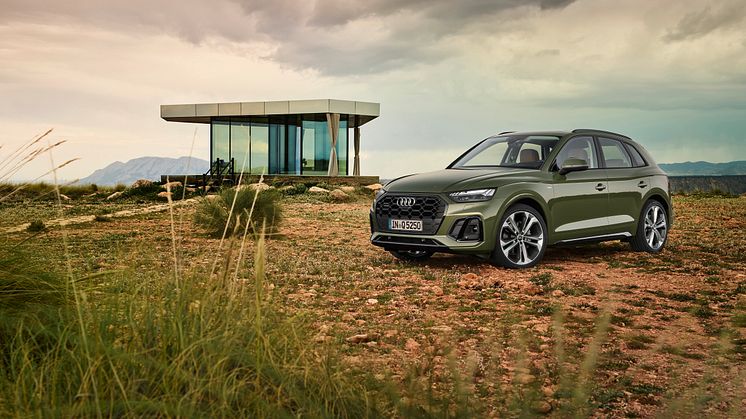 Audi Q5 2020 (Distriktgrøn)