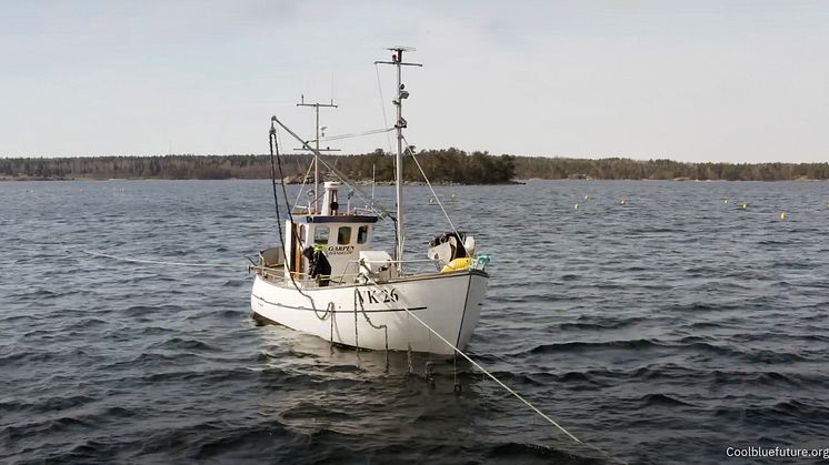 Ecopelag-Cool-blue-future_Boat.jpg