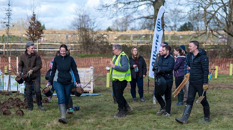 tree planting 9.jpg
