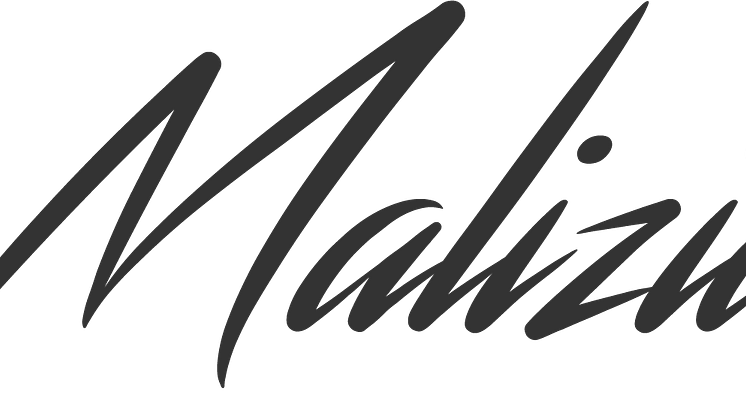 Logo Team Malizia