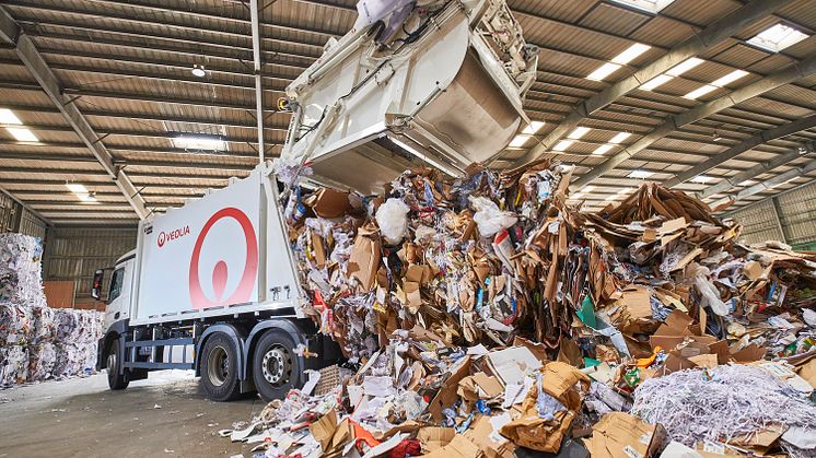 Altpapiersammlung Abkippvorgang