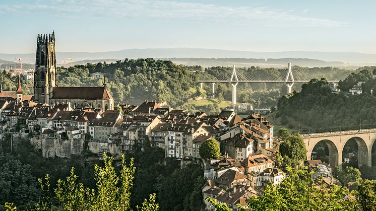 Kathedrale mit Altstadt, Fribourg