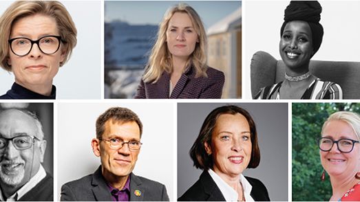 Tunga profiler i styrgruppen för Sustainable Business Bridge