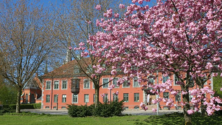 Kulturskolans undervisning på Rådhuset ställs in tillsvidare