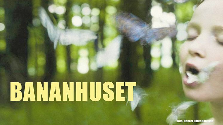 Bananhuset