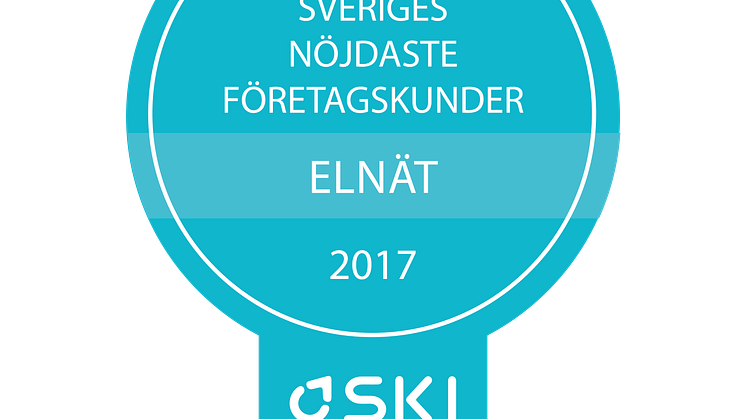 Medaljer SKI Elnät B2B 2017