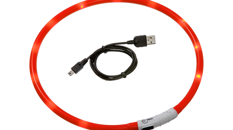 Lysande hundhalsband orange på vitt