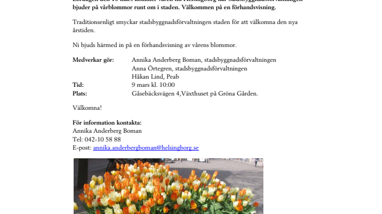 Pressinbjudan: Nu blommar löken i Helsingborg…