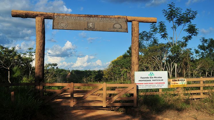 Amazonas