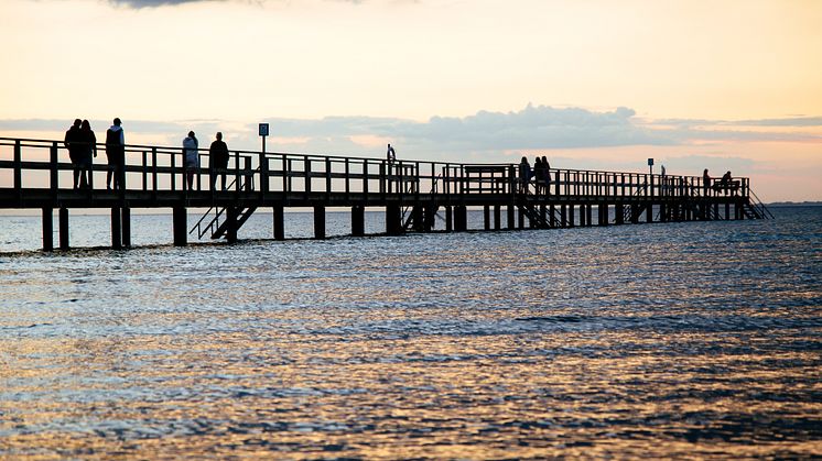 Bryggan i Barsebäck
