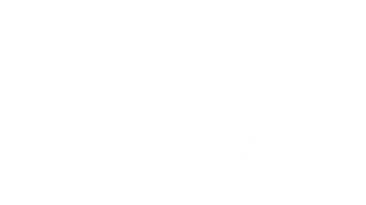 Logotype_Novax_White