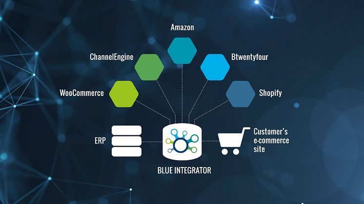 Blue Integrator - illustration market places- negative.jpg