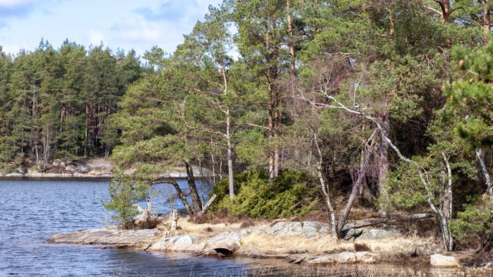 Generellt råder strandskydd vid havet, vattensamlingar, sjöar och vattendrag. Skyddet handlar både om att allmänheten ska kunna vistas vid vatten och att djur- och växtlivet ska bevaras. Bilden är inte från årets tillsyn.