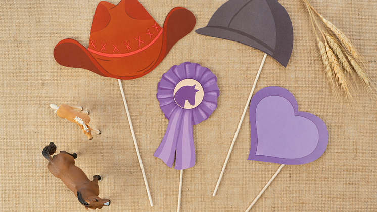 Kindergeburtstag_Horse Club_Foto Accessoires
