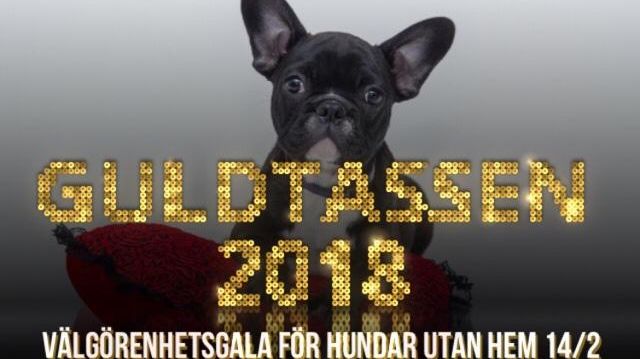 Välkommen på välgörenhetsgala till förmån för hemlösa hundar den 14 februari!