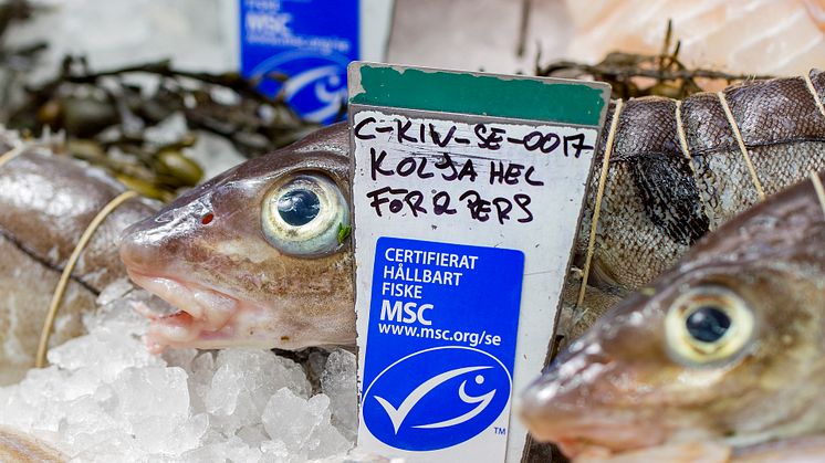 Forskning visar att det lönar sig att vara grön - miljömärkning höjer fisk- och skaldjursföretagens aktiekurser