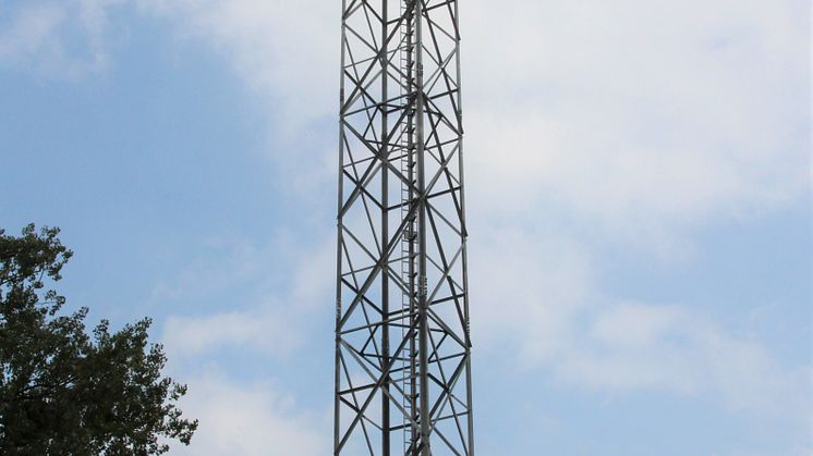Wächst 40 Meter in den Himmel über Bad Driburg